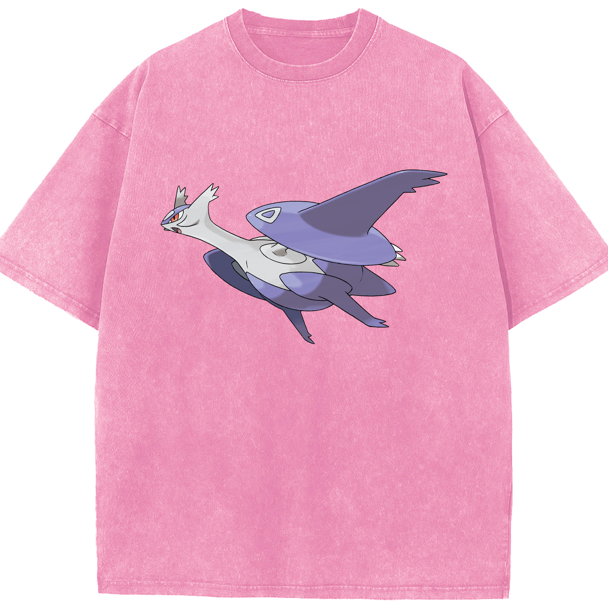 （画像用） ポケットモンスター Pokémon 綿100% ヴィンテージ風 半袖Tシャツ（フロントプリント）